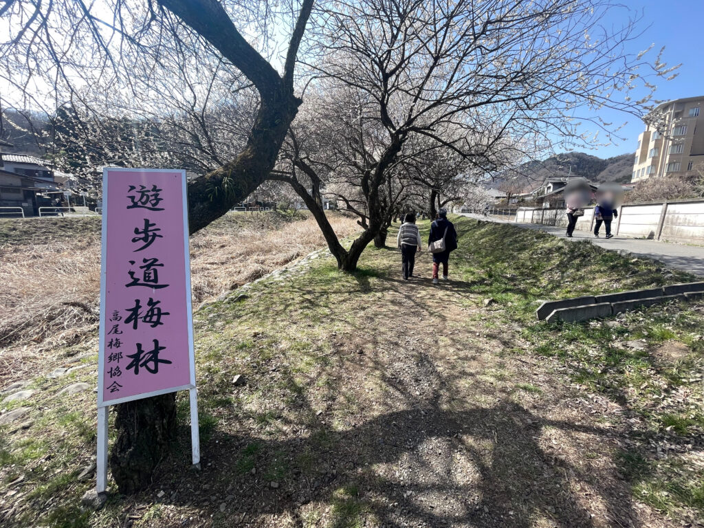 遊歩道梅林