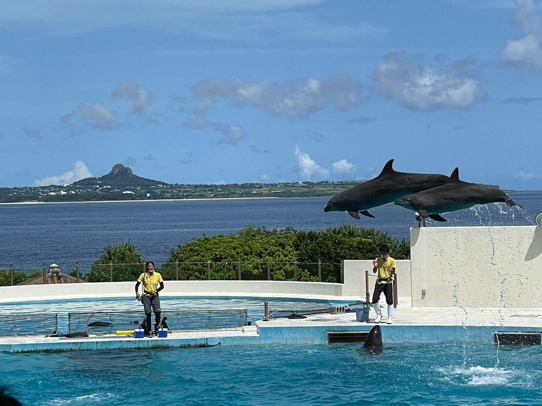 美ら海水族館のオキちゃん劇場