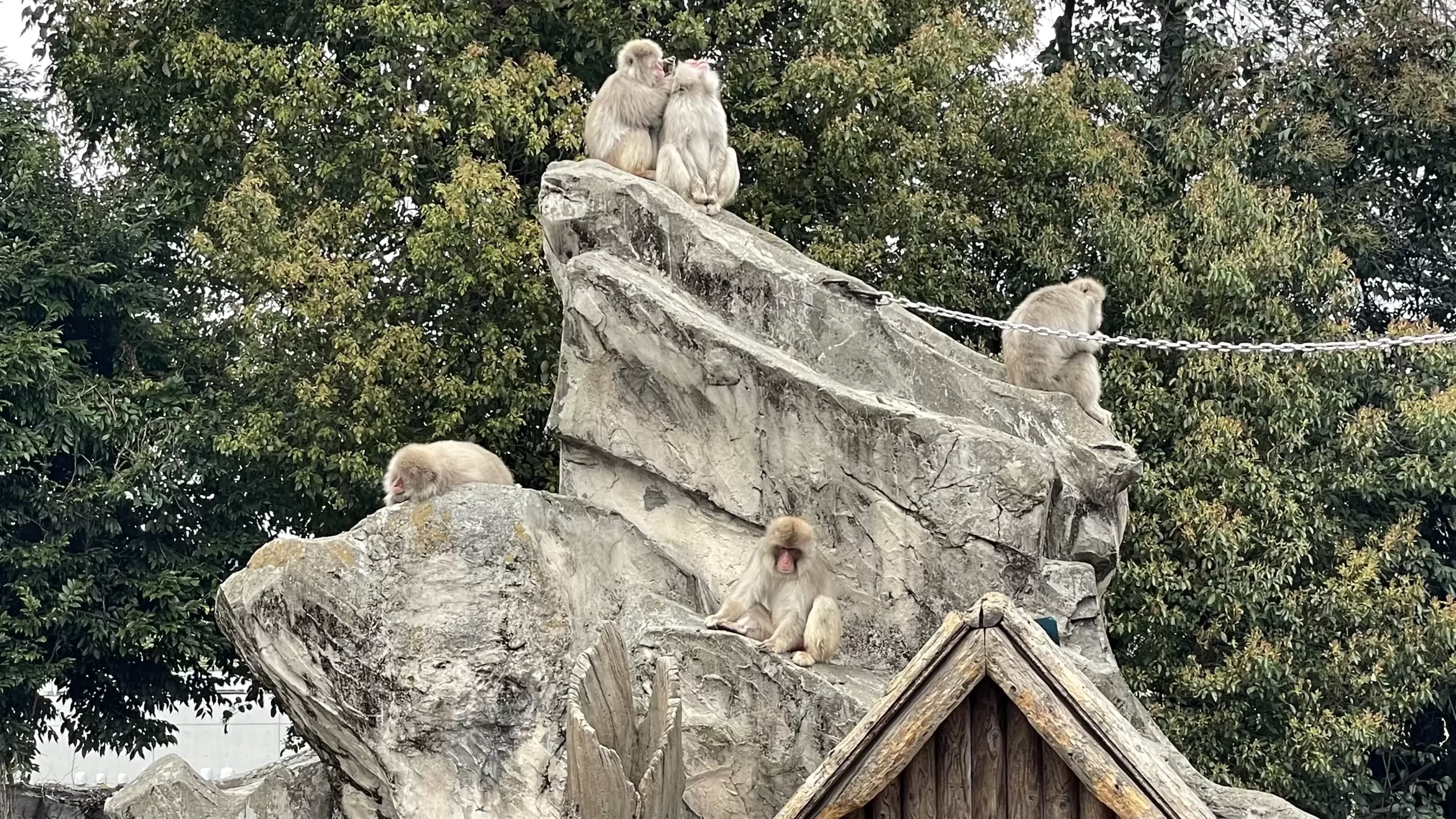 上野動物園